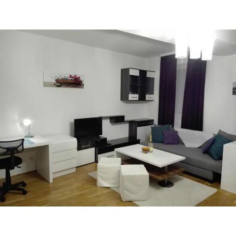 1,5 Zimmer-Apartment oder elegantes Home-office