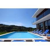 5 bedrooms villa with private pool furnished garden and wifi at Vieira do Minho