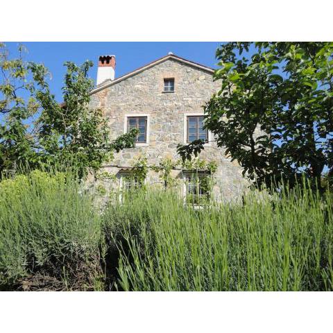 A lovely house in Vipava valley