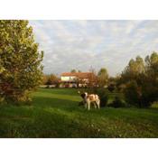 Agriturismo il Podere - Farm Dog Friendly with Rooms, Breakfast & Dinner Restaurant