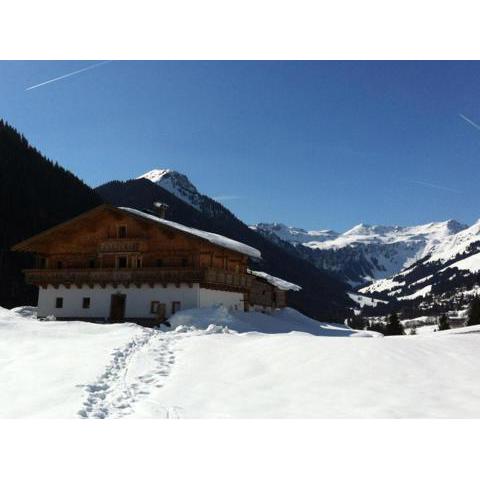 Alpenbauernhaus Vorderbrandthof