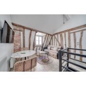 AMAZING HISTORICAL PARISIEN LOFT NEXT TO LOUVRE AREA !