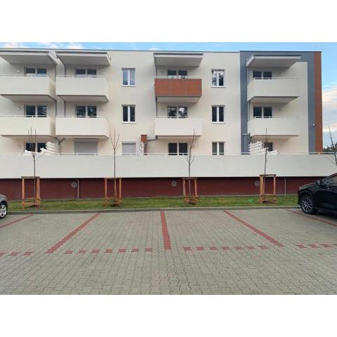 Apartament - Brzeska For You