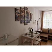 Apartament De Luxe Emily