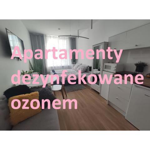 Apartament Elbląg GoodEnergy - Stare Miasto, Oldtown, Altstadt