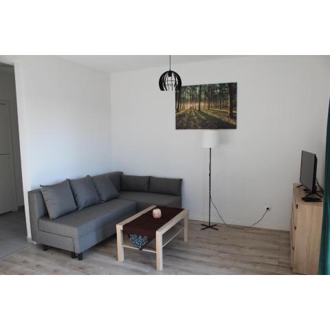 Apartament Fibra Freddo