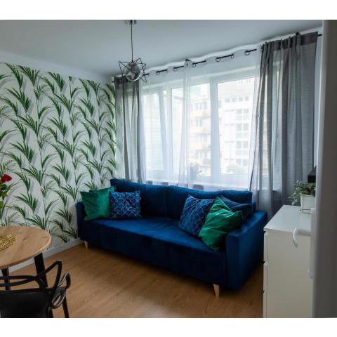 Apartament Iga