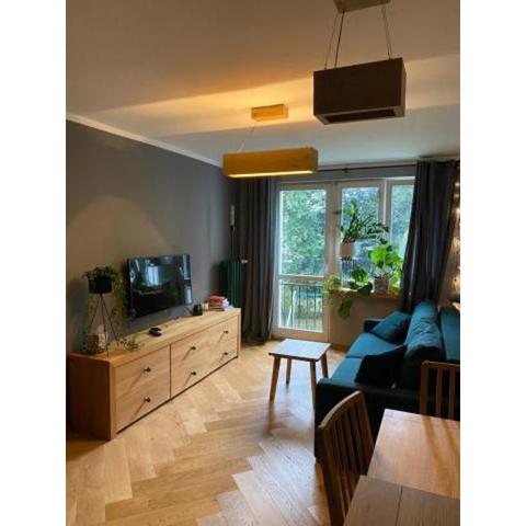 Apartament Krakowska