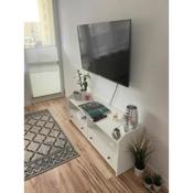 Apartament w centrum miasta