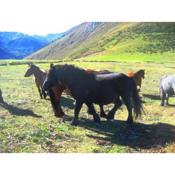 Apartamento Braña El Tronco Senda del Oso a solo 3 km de San Martin