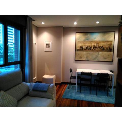 Apartamento entero Bilbao zona Sanmames