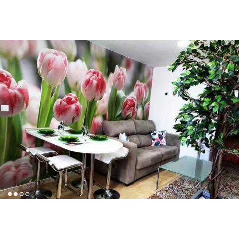 Apartamento Los Tulipanes