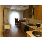 Apartamentos Villava Pamplona