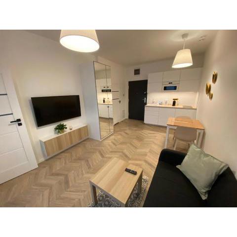 Apartamenty Centrum Poznańska - Biały