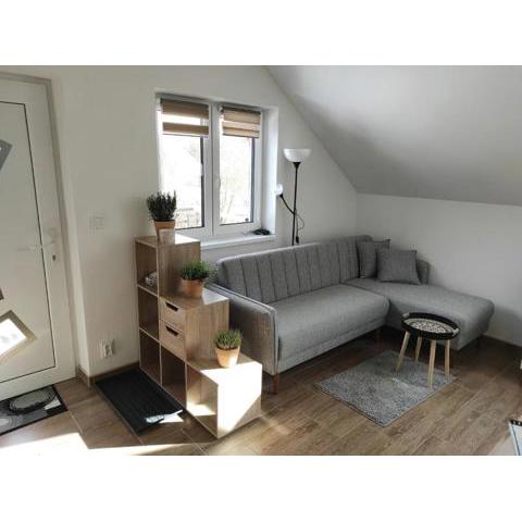 Apartmán Frymburk 700