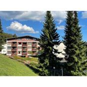 Apartment App- 2411 - Kurhotel Schluchsee - SSE610 by Interhome