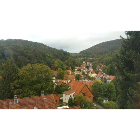 Apartment Grundblick