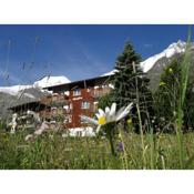 Apartments Alpenfirn Saas-Fee