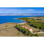 Apartments by the sea Vir - Lozice, Vir - 18576