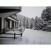 Appartamento Pragelato centro con giardino privato