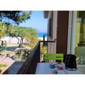 Appartement Argelès-sur-Mer, 2 pièces, 4 personnes - FR-1-309-371