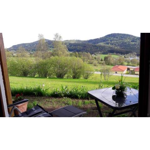 Appartement-Harlachberg-Blick-2