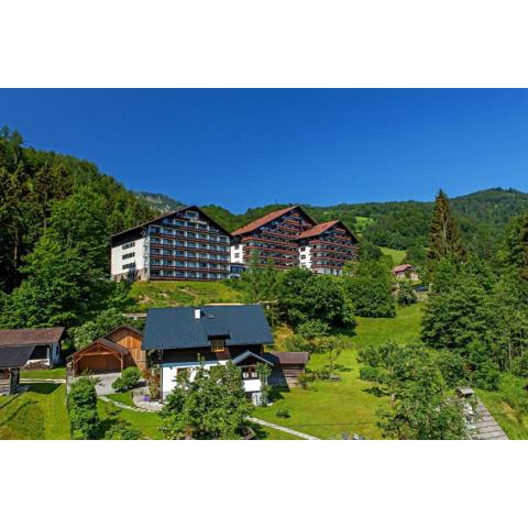 Appartement-Hotel Dachstein