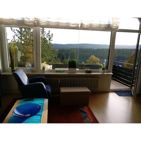 Appartement mit Südbalkon im Haus Feldbergblick in Kappel - Appartement 37