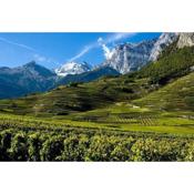 Appartement tranquille terrasse et jardin 5 pers.