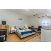 Awesome apartment in Rovinj with WiFi