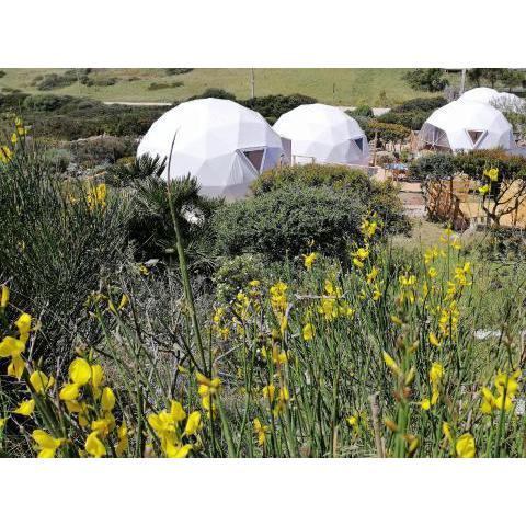 B&B Glamping Semaforo Capo Sperone