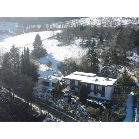 Beautiful Holiday Home in Winterberg near Ski Area