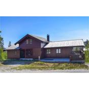 Beautiful Home In Dalen With Jacuzzi, Sauna And 4 Bedrooms