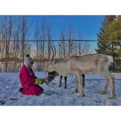 Beautiful rural experience with reindeer