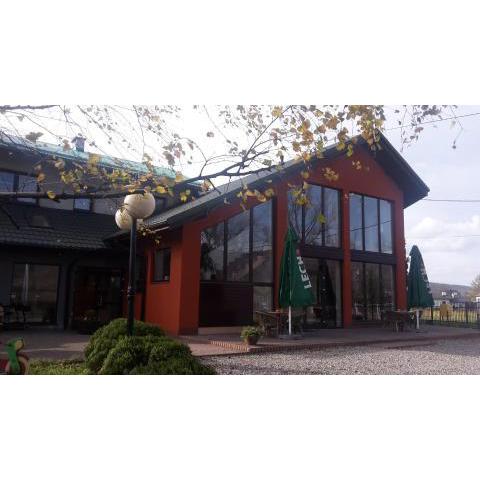 Bed & Breakfast Green Roof