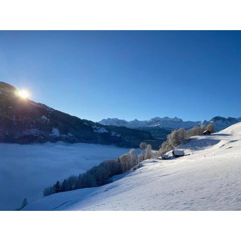 Berggut Lungern