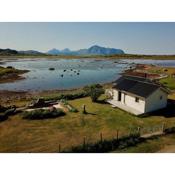 Bird View Lofoten