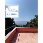Blue Seagull - Seafront Holiday Home
