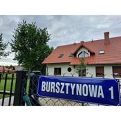 Bursztynowa 1