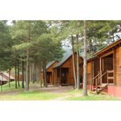 Camping Fontfreda