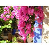 Casa Bougainvillea