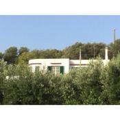 Casa di Terradeci 1 CIS Puglia LE07501991000004863