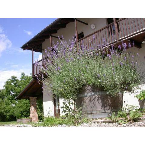 Cascina Creusa B&B