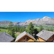 Chalet Aneloup à la Joue du Loup