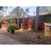 Chalet op Vakantiepark Dennerhode