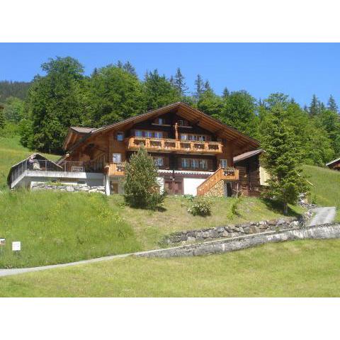 Chalet Spinne