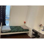 CHAMBRE PARTAGE 15MN CDG 25MN PARIS