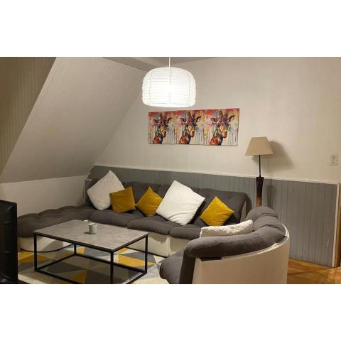 Charmant appartement dans l’Orne !