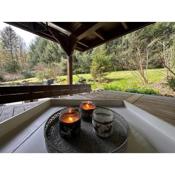 Charming Villa On The Forest In Wald 12 guests Hugh garden WILLINGEN SAUERLAND