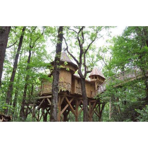 Châteaux dans les Arbres